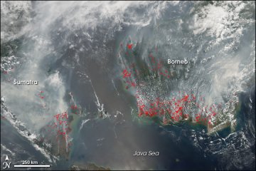 dolphinval21's tweet photo. .@jokowi Membubarkan perusahaan2 yang membakar #hutan. KEJAHATAN TERHADAP KEMANUSIAAN. bit/ly/eajapan #RForest https://t.co/ShlkmPltMC