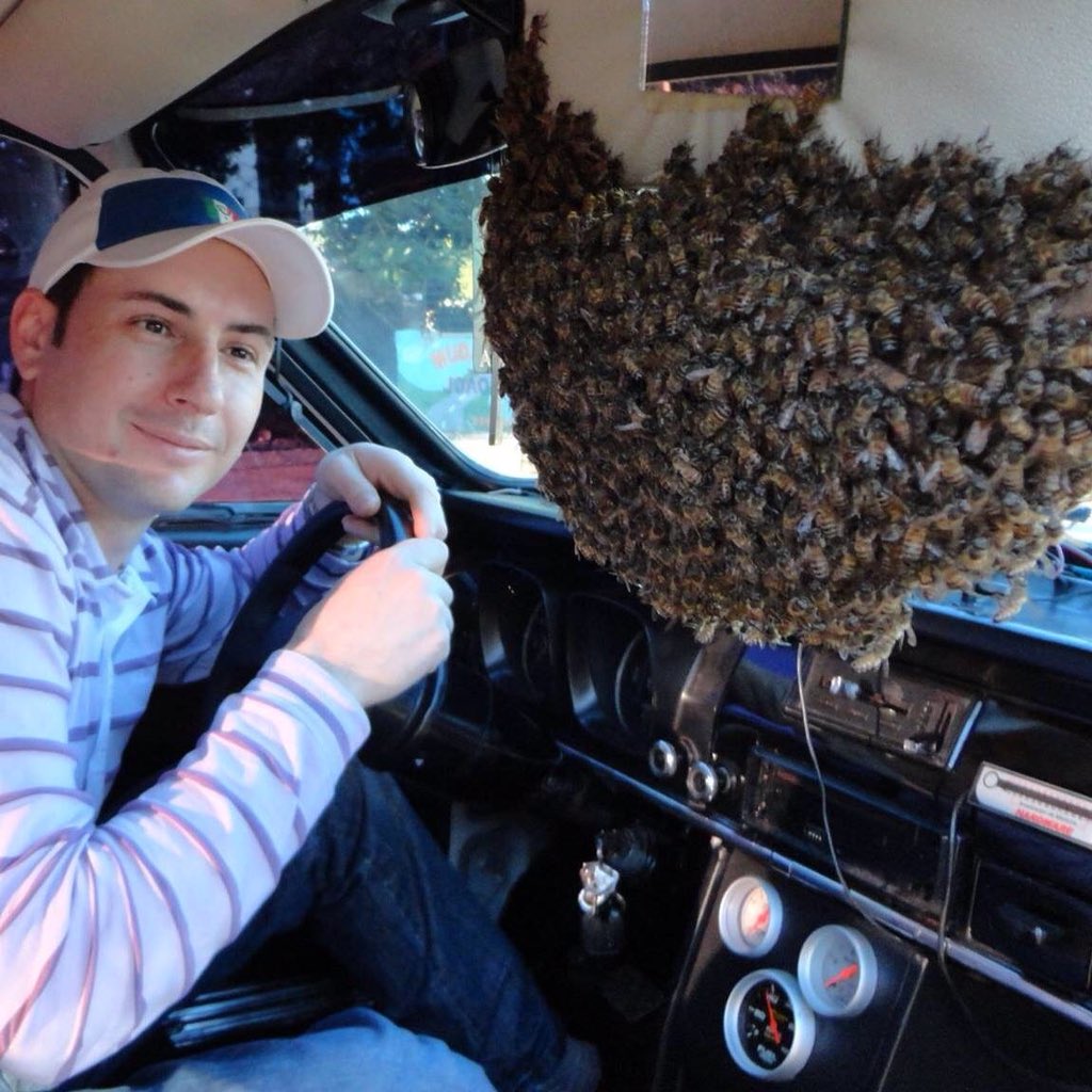 This driver got more than he bargained for as swarm settles on visor!