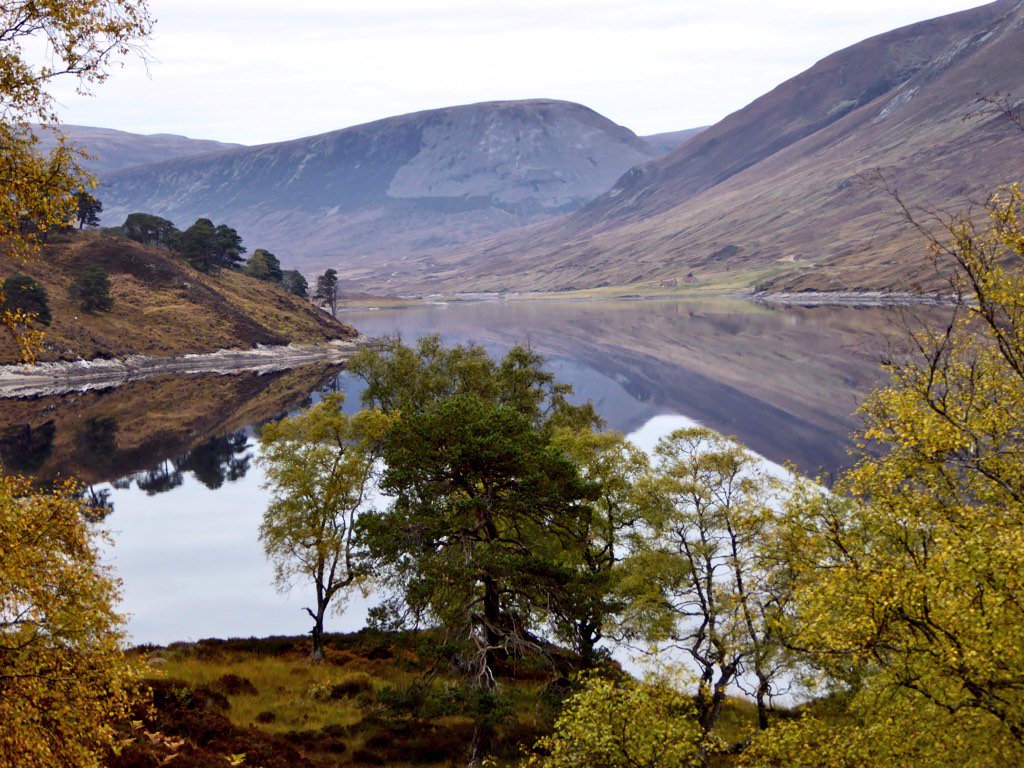 paulinedaniels's tweet photo. Morning...!! Reflections #scotland @strathvaich #highlands #lochs https://t.co/2fmSrrPfgr