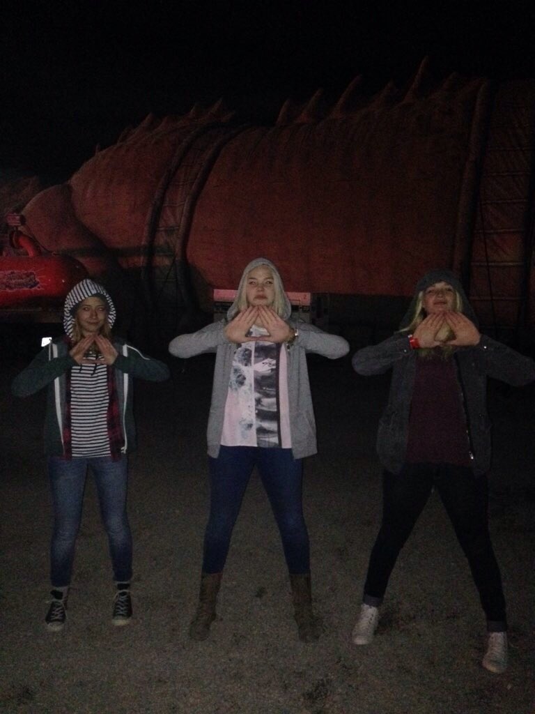 daisybaetman's tweet photo. love these weirdos w all my heart #bremudatriangle https://t.co/ATaFbUYhoV