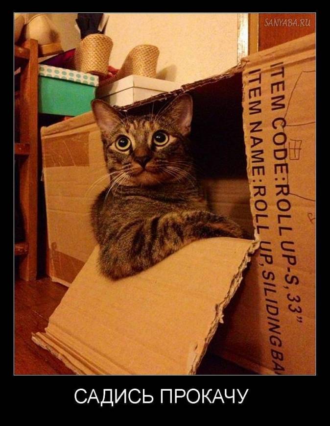 veselyy_ostrov's tweet photo. Картинка с сайта https://t.co/d5avbS13E9 #photoprikol #funny #фото #rus #funfoto https://t.co/wmWzHCcXH2