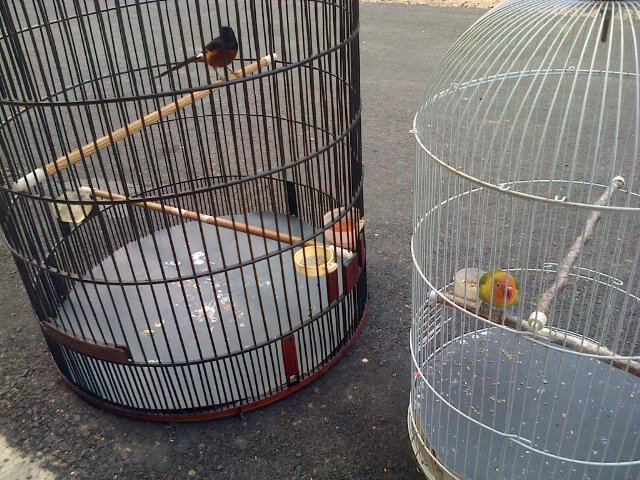 farulefendi tweet picture
