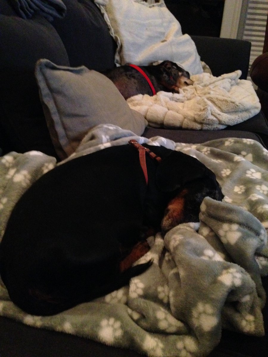 "Kansas City is comeback city."!!-Tom Verducci. Royals take game 1 as the goofballs snooze! Incredible! <a href="/Royals/">Kansas City Royals</a>