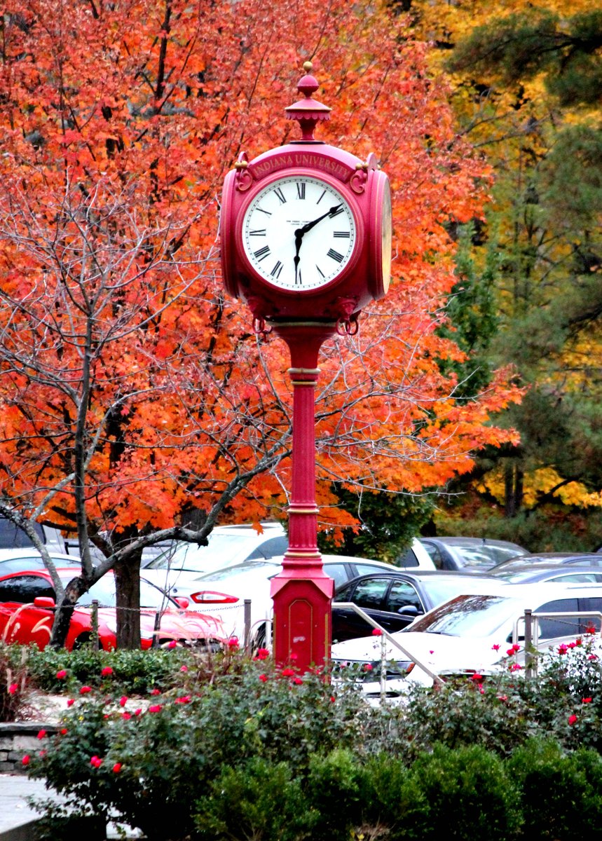 #جمال #الخريف في #جامعة #إنديانا بلومينغتون إنديانا في #أمريكا #أجمل #فصل في السنة!