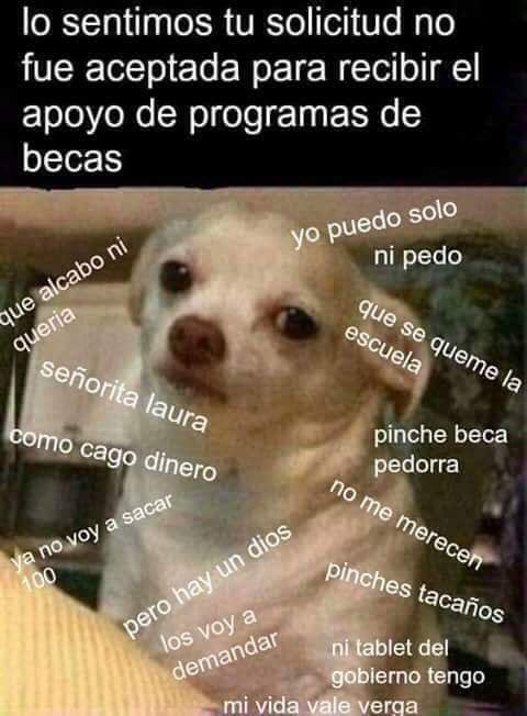 sofidbk's tweet photo. Lo bueno que ni pedí la beca https://t.co/0kvRSZDsHg