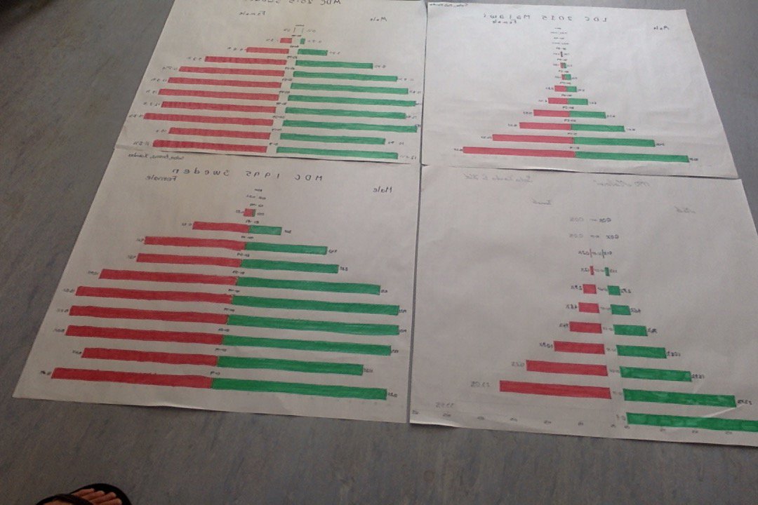 WondHatter's tweet photo. we worked on our population pyramids and finished them. I'm proud of my group @SabaAttfield @xandra_pennanen #IS_T9C https://t.co/4tL6NwuIHb