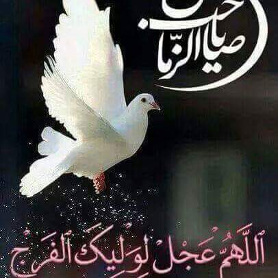 <a href="/saela5/">Saela</a> <a href="/bintalmu7arq/">خديجة الكبرى</a> <a href="/iraq555_i/">Arch. Duaa</a> @hamsmashir_2 <a href="/maryam2239/">maryam223</a> @moneer0314 <a href="/Fatim9911/">Fatim99</a> <a href="/Zynb0/">Zynb.iska 0109110461</a> @warod_313 @S_C_313