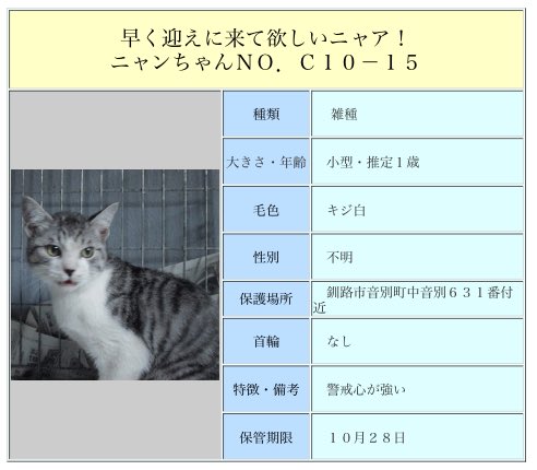 北海道 保健所 里親募集 釧路保健所さん 迷い猫 本日28日で迷い猫期限が切れるので 明日からは里親さん募集になるかと思われます 拡散希望 里親募集 北海道 保健所 釧路市 動物愛護 T Co Oropcc2fkj T Co Pdgwn3hqg7