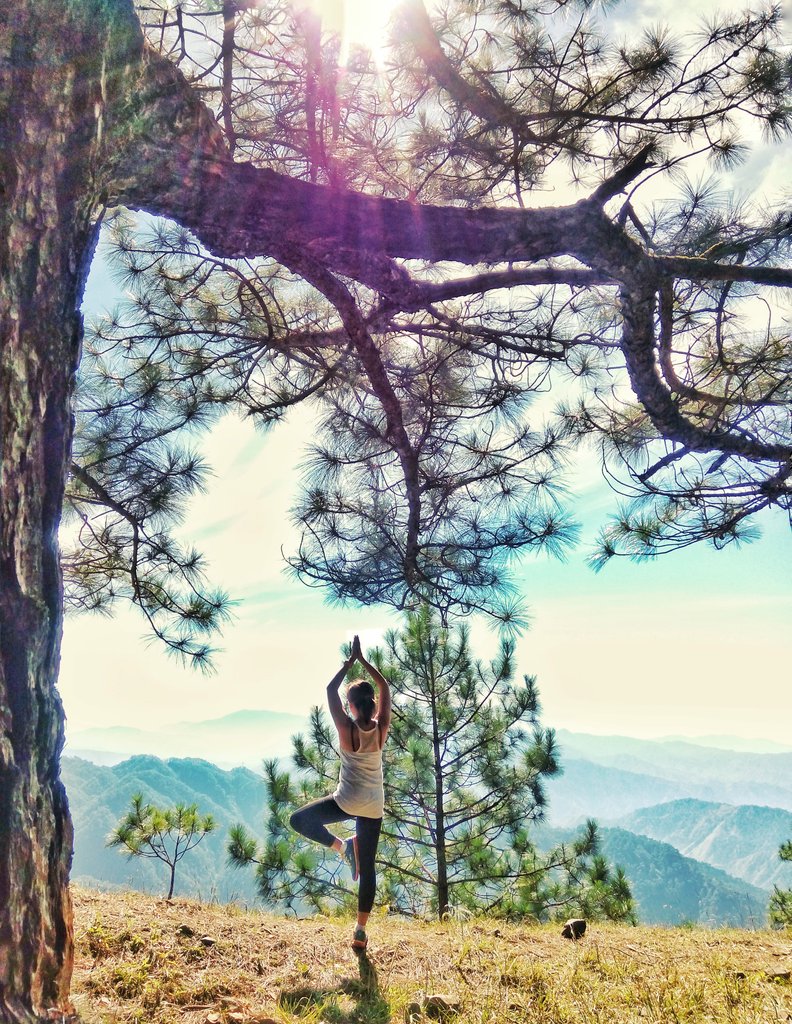 aisseewanders's tweet photo. Found a place full of serene and tranquility. Come and visit Philippines
#aisseewanders  #itsmorefuninthephilippines https://t.co/CUpBYQKswT
