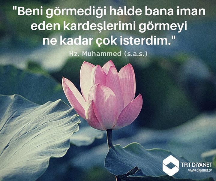"Beni görmedikleri halde bana iman eden kardeşlerimi görmeyi ne çok isterdim."
Hz. Muhammed (s.a.s.)