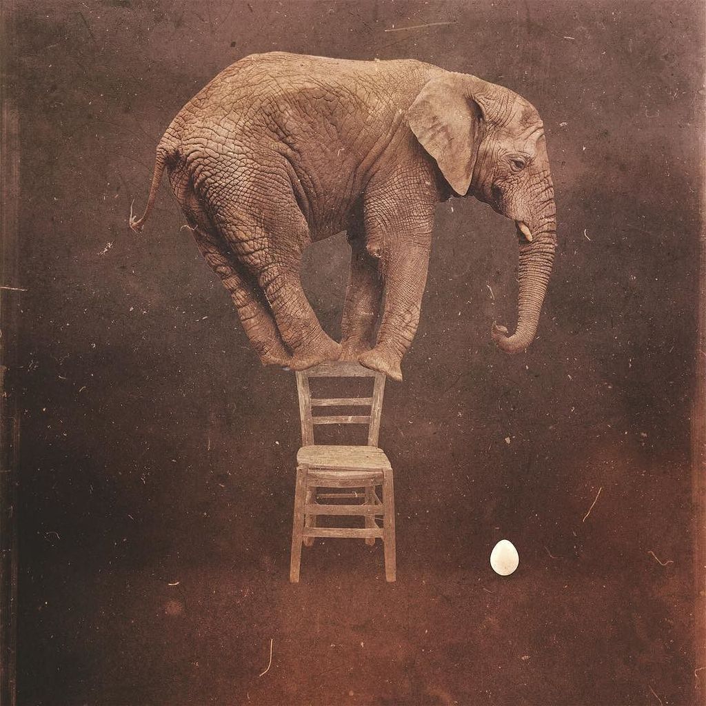josiester's tweet photo. A Case of Mistaken Identity... #unionapp #mextures #mectures_app #jj_mextures #rsa_ladies … https://t.co/J01onviVIu https://t.co/Ja6e2LiMij