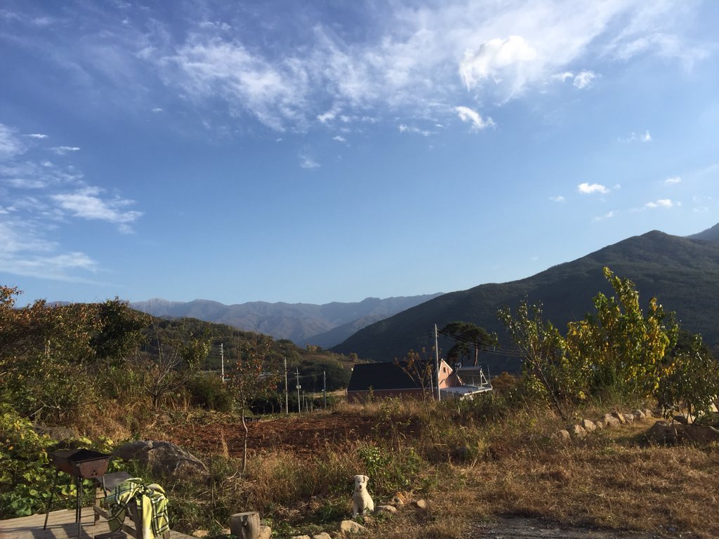 지리산꼼지락 tweet media