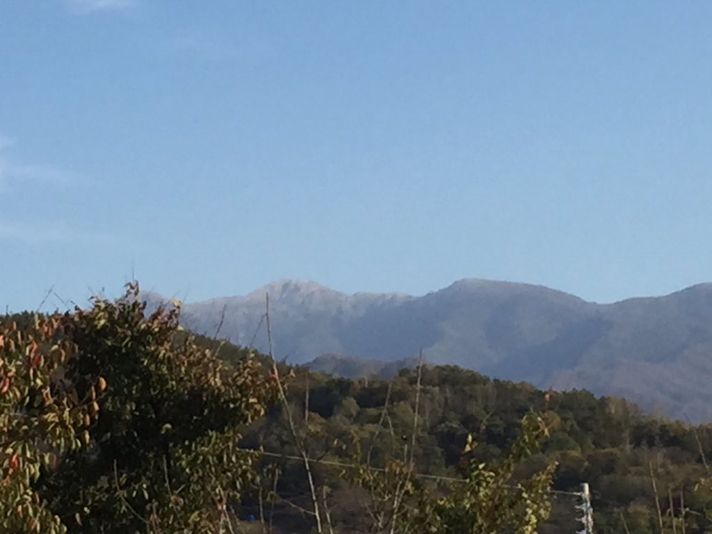 지리산꼼지락 tweet media