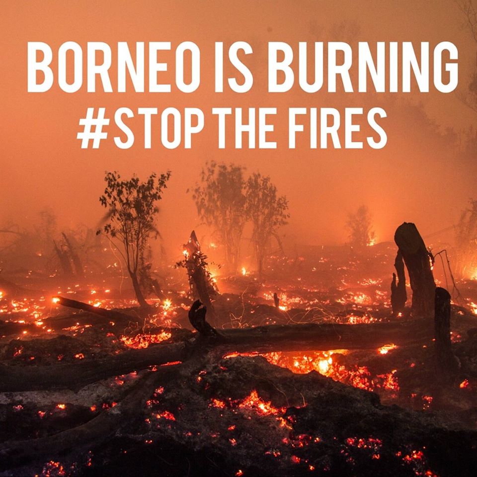 kheifa3's tweet photo. .@jokowi #Deforestasi menghancurkan #ekosistem di dunia. Tolong berhenti ekspansi #kelapasawit #RForest https://t.co/IWMvevUUTT