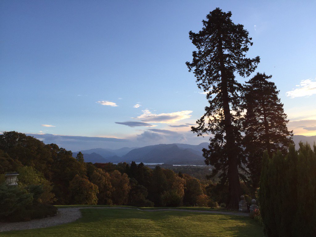 Howard Dove tweet media