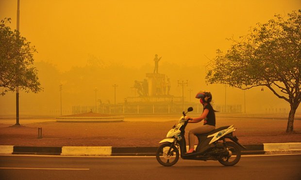 kheifa3's tweet photo. .@jokowi Berapa orang jadi kaya dari min sawit→jutaan kehilangan kesehatan. MENGHENTIKAN PENCURIAN BESAR #RForest https://t.co/f7x5niVKWL