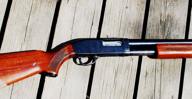 StateofGlobe's tweet photo. Austrian Women Buying Up Guns As Migrant Rapists ... - https://t.co/QoErQ8SKst - #2ndAmendment #BorderCollapse https://t.co/SJ1HW0qURU