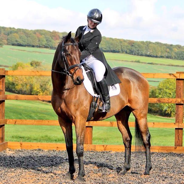 Polly_Chiverton's tweet photo. Ranked 58th at the end of the season in the u21 @BEventing league! #superlynx #RoR #horseofalifetime https://t.co/kt4cwIO4Ex