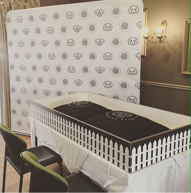 JupiterCT's tweet photo. Our office for the day #DogsofJupiter #bringonthecuddles #letsgospeeddating https://t.co/fmGF83gZwk