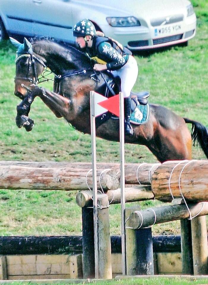 Polly_Chiverton's tweet photo. Finished the season on our fourth double clear in a row, this time at CIC**! #bringon2016 https://t.co/FhEfOEeyDf