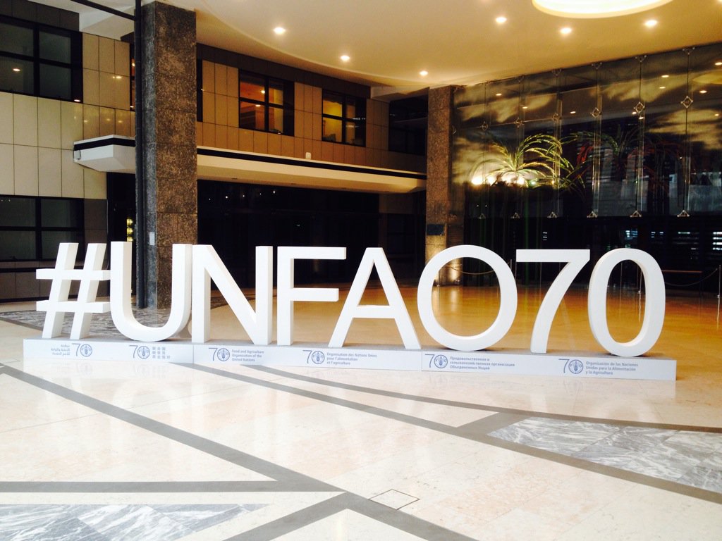 brsmeas's tweet photo. Coming soon: #CRC11 press release detailing outcomes inc recomm listing for two pesticides @UNEP @FAOnews @SDG2030 https://t.co/OBVIMVOvi6