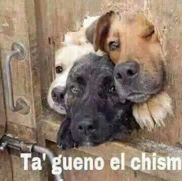 aniel170 tweet picture