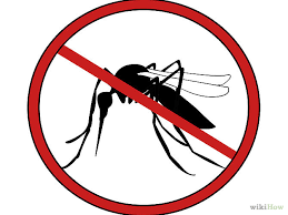 ZoonosisMLP's tweet photo. #dengue El contagio sólo se produce por la picadura de los mosquitos infectados, nunca de una persona a otra https://t.co/LUN9xFAu9b
