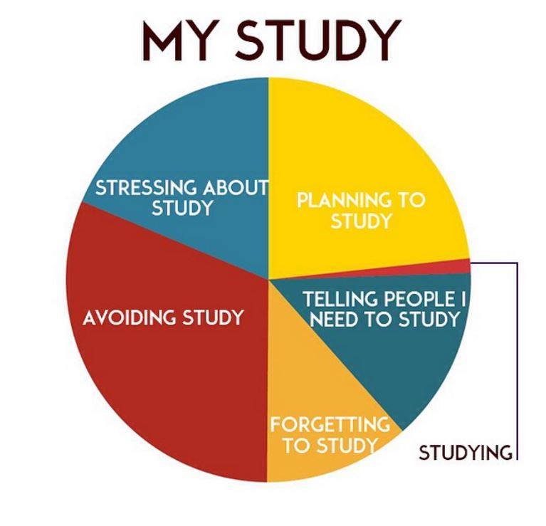 BrightSparkzSA's tweet image. Can you relate to this? #StudyGraph #Procrastination