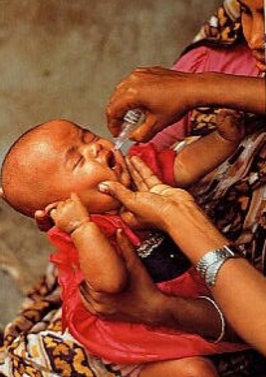 domblick2's tweet photo. Zum heutigen Welt-#Polio-Tag: #Ampulle #Lebendimpfstoff gegen #Poliomyelitis
https://t.co/2g4b0uWd6x
#Kinderlähmung https://t.co/XJEyAvejkF