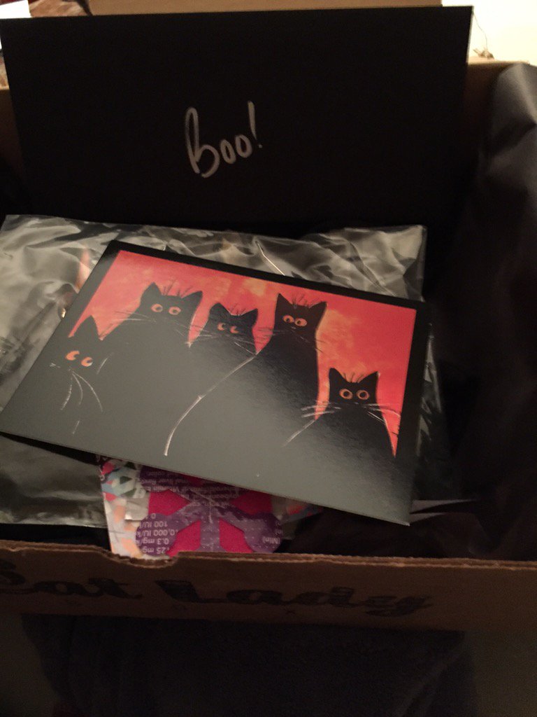 CBBlouin's tweet photo. #CatLadyBox https://t.co/lSgWgDoNo5