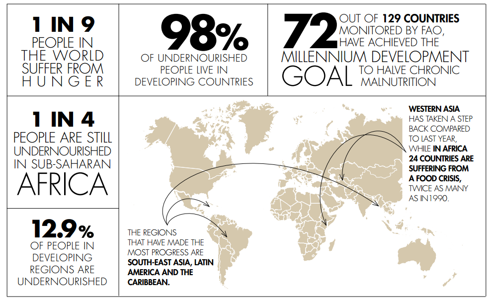 how to stop world hunger facts