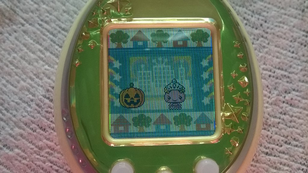 [Obrazek: CSZDyZ5WEAAqTGE.jpg]