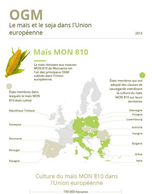 PEStrasbourg tweet picture