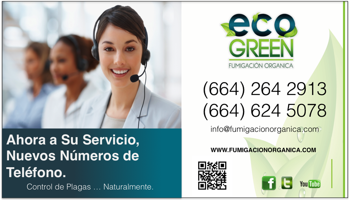EcogreenO tweet picture