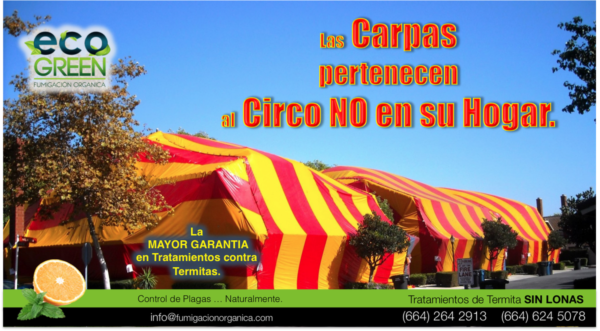 EcogreenO tweet picture