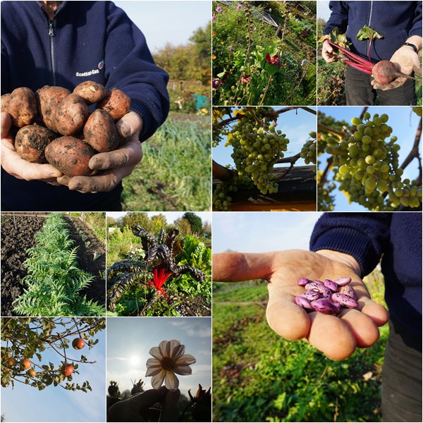 veggie_guide's tweet photo. A BIG Thank You to John for his Tips on HOW TO GROW YOUR OWN FOOD and for allowing us to take photos #VeggieGuide https://t.co/0tPrcPGe9y