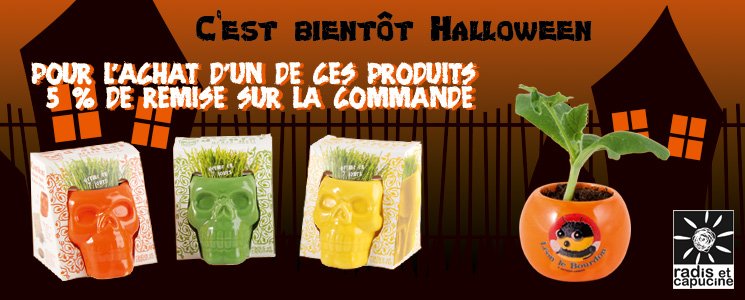 Radis et Capucine tweet media