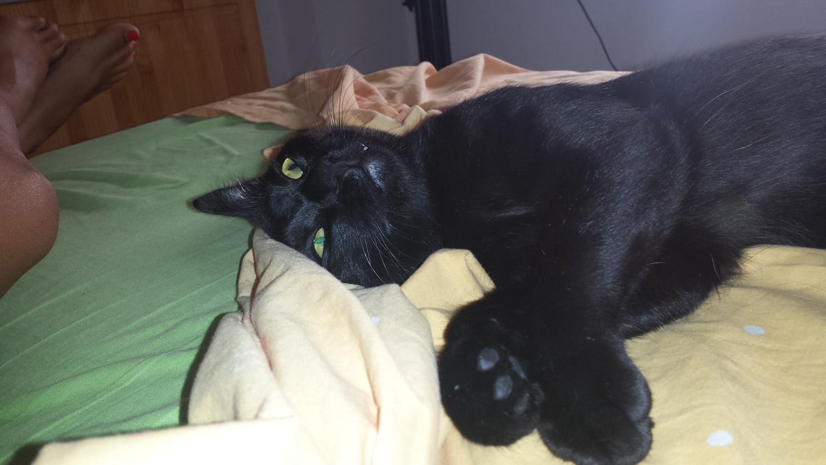 Xenialove_'s tweet photo. Un año ya sin ti.Y todas las tardes de lluvia me recuerdan a ti.Y todos los días te echo igual de menos. https://t.co/Zw2ow34ypK