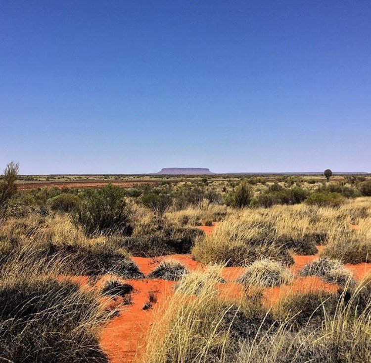 NT_Australia's tweet photo. Commonly called 'Fooluru', #MountConner is often mistaken for Uluru! Pic: @jacopofarina #NTaustralia https://t.co/Byd44D8zTB