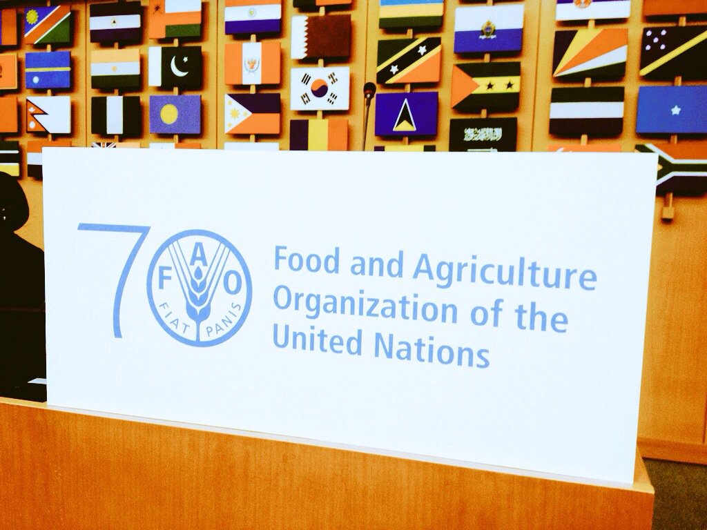 brsmeas's tweet photo. Adopted: #CRC11 decision guidance doc on biocide TBT: tributyltin compounds @FAOnews @UNEP @SDG2030 @GENetwork https://t.co/p3Mchff4YL