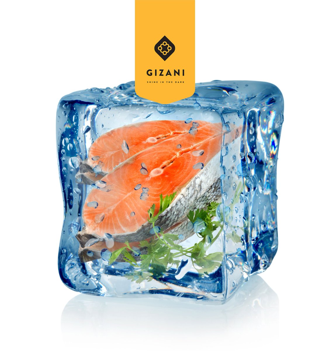 GizaniDitd's tweet photo. #FunFact Usually,  Eskimos refrigerate their food to keep it from freezing. https://t.co/xHVMEajbZh