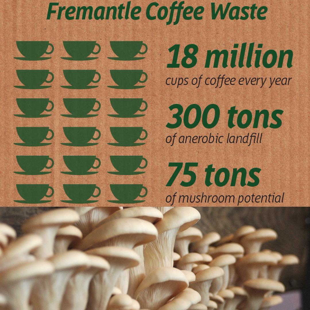 Sustainia's tweet photo. Cool! Growing gourmet mushrooms from coffee #waste! Nice!
https://t.co/lcioWAvyve
#SolutionsFor #Food #UrbanFarming https://t.co/BiBe6t6XMC