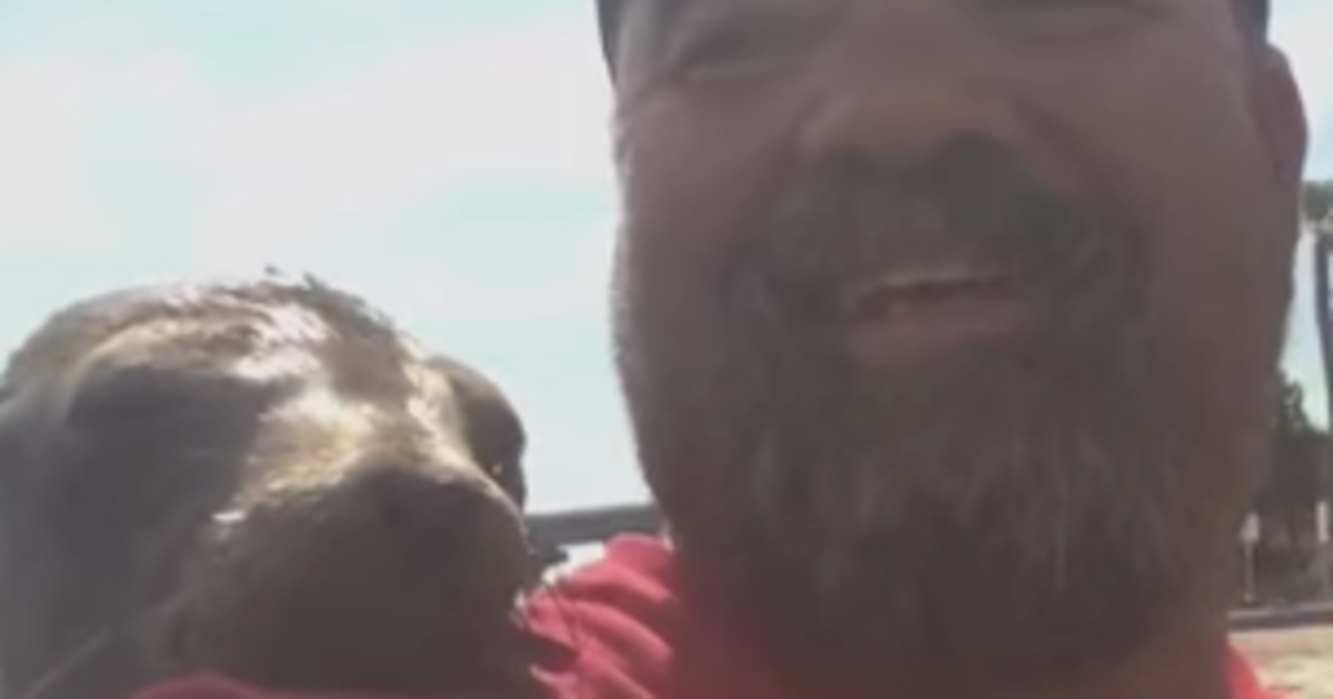 HuffPost's tweet image. Sea lion jumps on board, cuddles with human huff.to/1KDuXh4