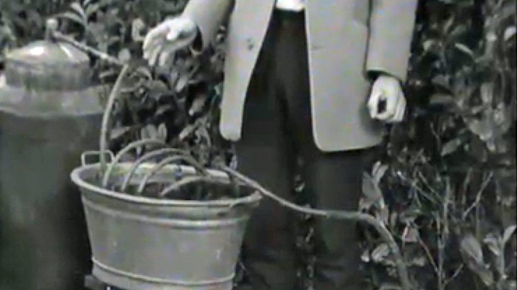 RTEArchives's tweet photo. How to make Poteen #OnThisDay in 1970 https://t.co/lndG9XkU4U https://t.co/M3TnZTcn9m