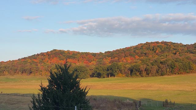 KMOV's tweet photo. Chris Brown took this beautiful fall photo in Louisiana, Mo. Share your photos using #Fall4Kent #n4tm https://t.co/fd02Ahg3wU