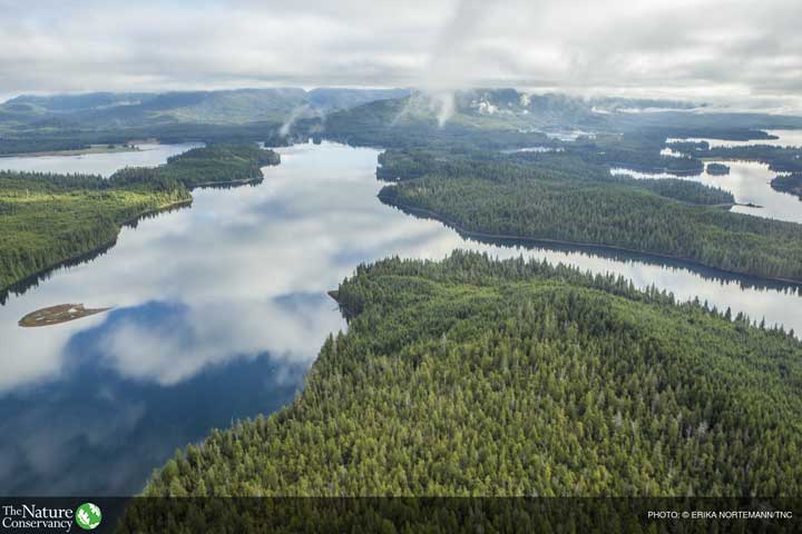 nature_brains's tweet photo. No forests, no beer. Learn how forests provide clean water for beer &amp; more: https://t.co/9Ow6GWWxoS #craftbeer https://t.co/2rcuGhRIdC