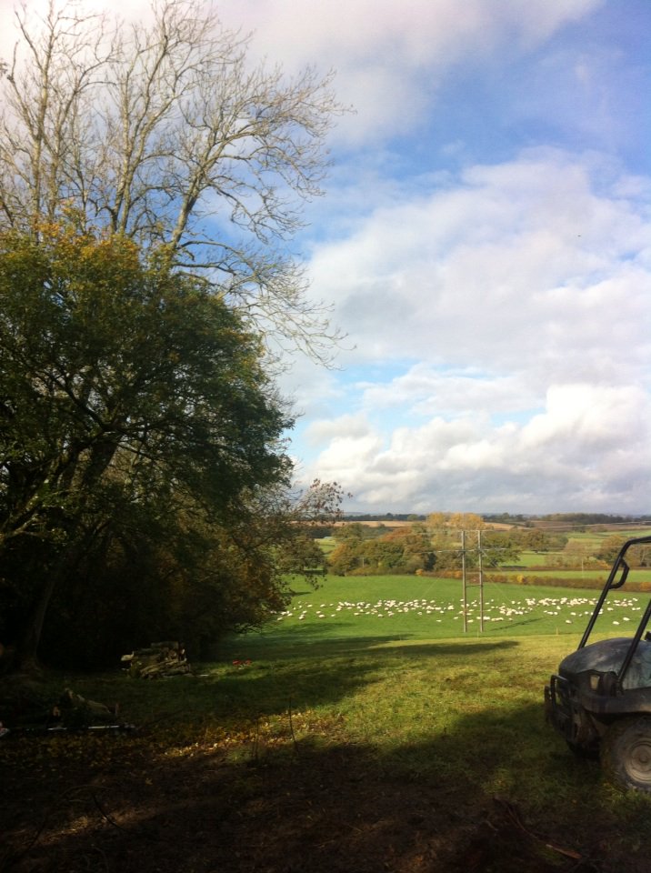 sheepscannerman's tweet photo. Cracking day for tree work and n.z Suffolk spotting in Dorset. https://t.co/zjbi5Wf1BC