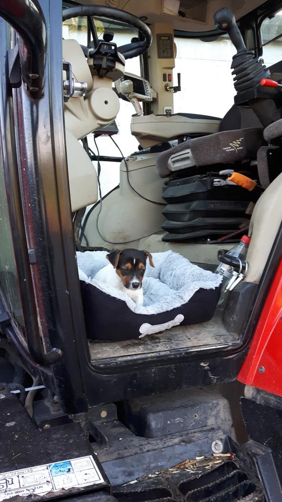 DrillLinham's tweet photo. First day at work for the boy https://t.co/I6VlRmf4sj