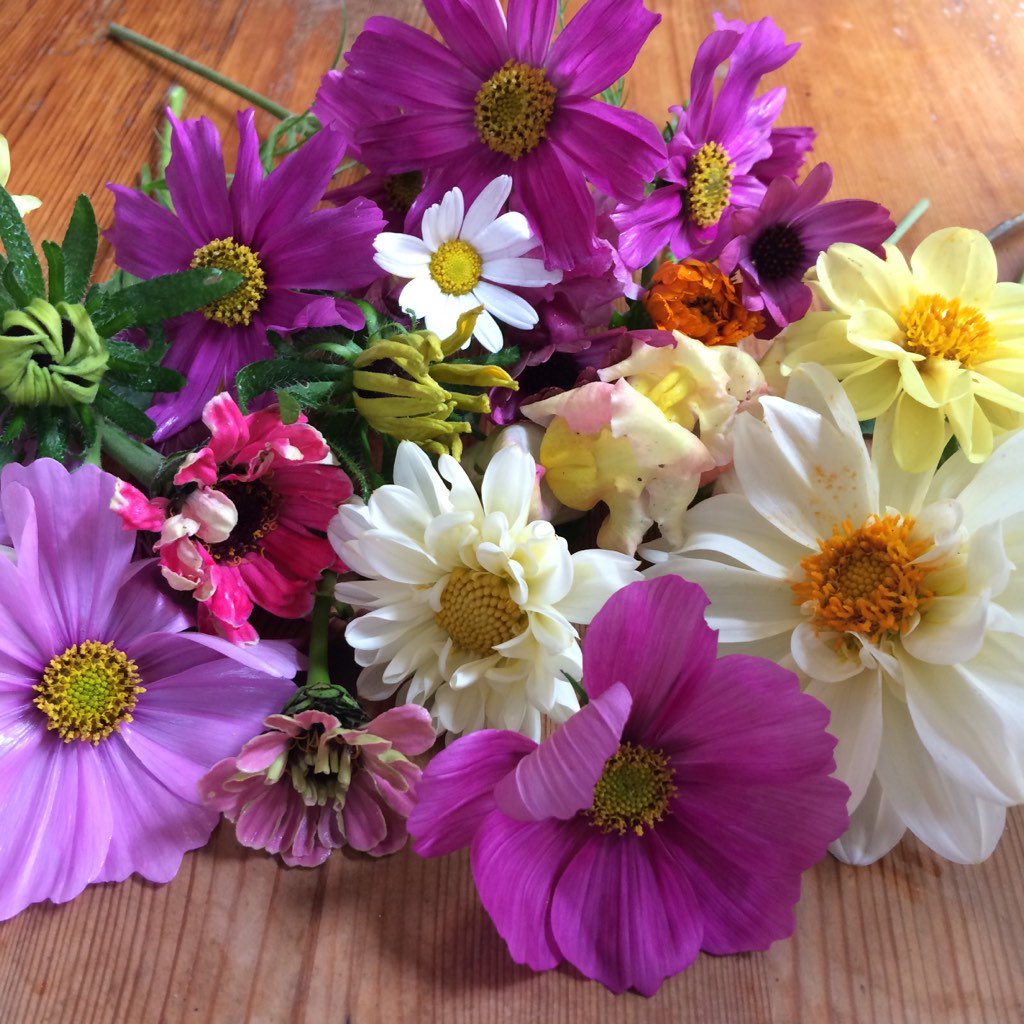 FoxandCatFlower's tweet photo. Just need the fox ... #foxandcatflowers https://t.co/uY2uTdgihL