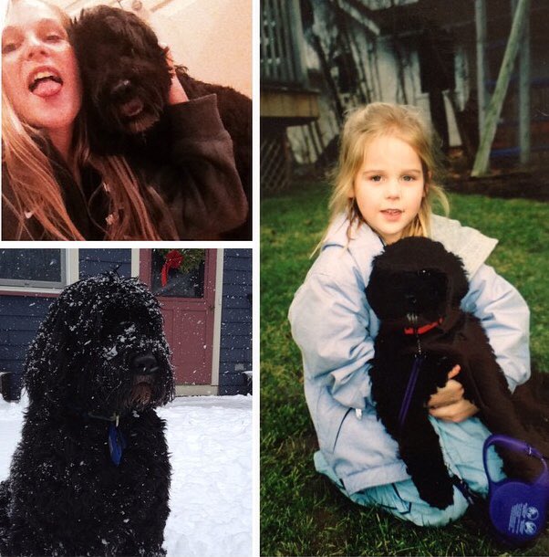 Logann88's tweet photo. Happy what what would have been your 11th birthday Henry🎉🎈 missing you a little extra today:') https://t.co/UZJpTgzYP1